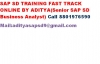SAP SD Training Online Fast Track and Remote Support