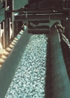 endless conveyor belt,polyesterEP conveyor belt
