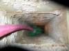 Costa Mesa - Fountain Valley CA Residential and Commercial Air Duct Cleaning by Supreme Air Duct Service 888-784-0746