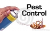Pest Control Services @ 9711901086