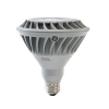 LED Light BulbPAR30 60W Replacement