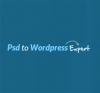 Hire Wordpress Programmer and experts
