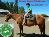 summer camps with horses | Mountain Meadow Ranch