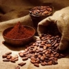 Selling Cocoa