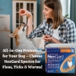 NexGard Spectra for Dogs � All-in-One Protection Against Fleas, Ticks  Worms
