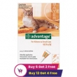 Buy Advantage for Cats � Flea Protection with Great Discounts!