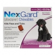 Nexgard Chewables for Large Dogs Purple � Effective Flea  Tick Protection