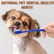 National Pet Dental Health Month � Huge Discounts on Pet Dental Care!