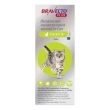 Bravecto Plus for Cats � 2-Month Flea, Tick  Worm Protection | BestVetCare