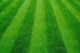 Synthetic Lawns Florida, Synthetic Grass