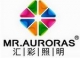 Auroras Lighting Solution Co  Ltd
