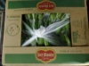 FRESH GREEN CAVENDISH BANANAS DELMONTE BRAND