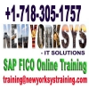 SAP FICO Online Training at FICOTraining.com
