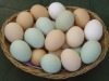 Chicken-Broiler-Hatching-eggs-Cobb-500-Ross-308-Grade-A-for-sale