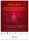 Christmas web design offer, discount web development deal