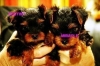 extremely cute teacup yorkie puppies to lovinbg homes