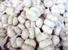 White Garlic for sell