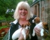 Cute jack Russell Puppies male and female for Adoption