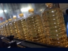 High Quality Sunflower Oil for Sale